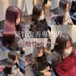 【2025年最新版】縮毛矯正とカラー同時にするために髪質改善専門美容師が教えたい３つのポイントを徹底解説